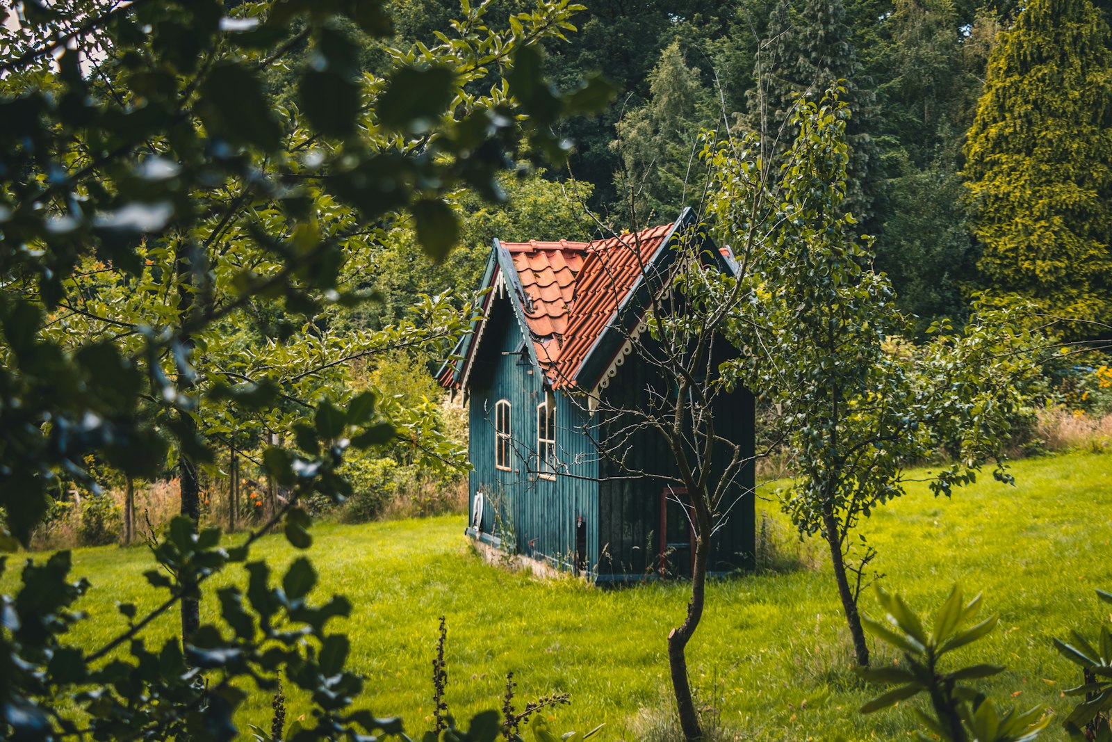 Casa in legno nel mezzo della foresta durante il giorno