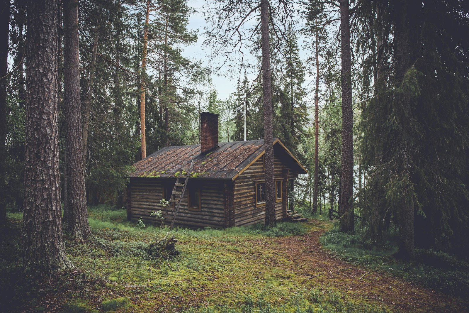 Piccola casa in legno immersa nel bosco