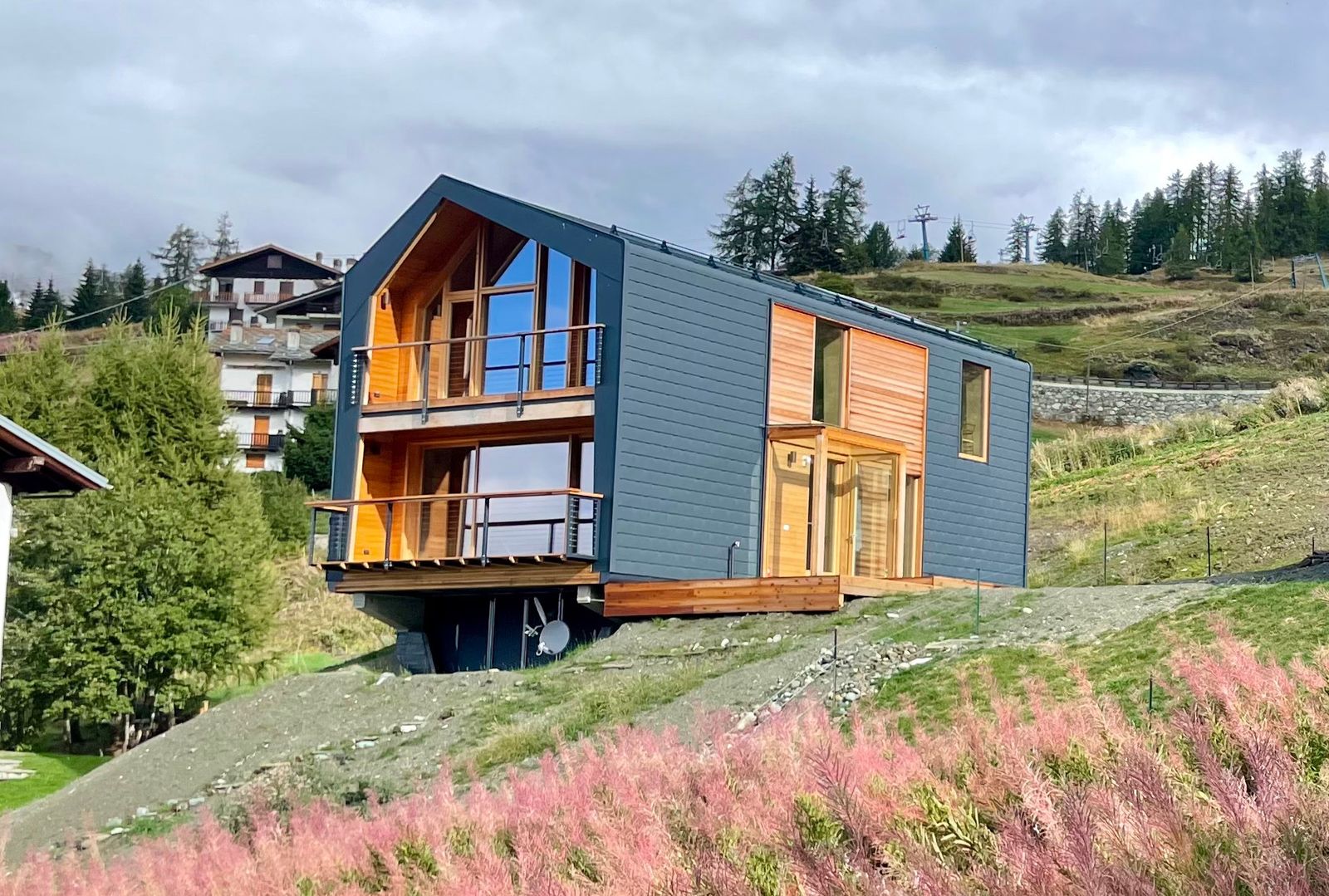 Casa LeapHome Frame a due piani con rivestimento grigio scuro e facciata vetrata in legno, su un pendio di montagna con erba fiorita in primo piano